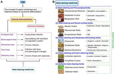 Antibacterial Modes of Herbal Flavonoids Combat Resistant Bacteria